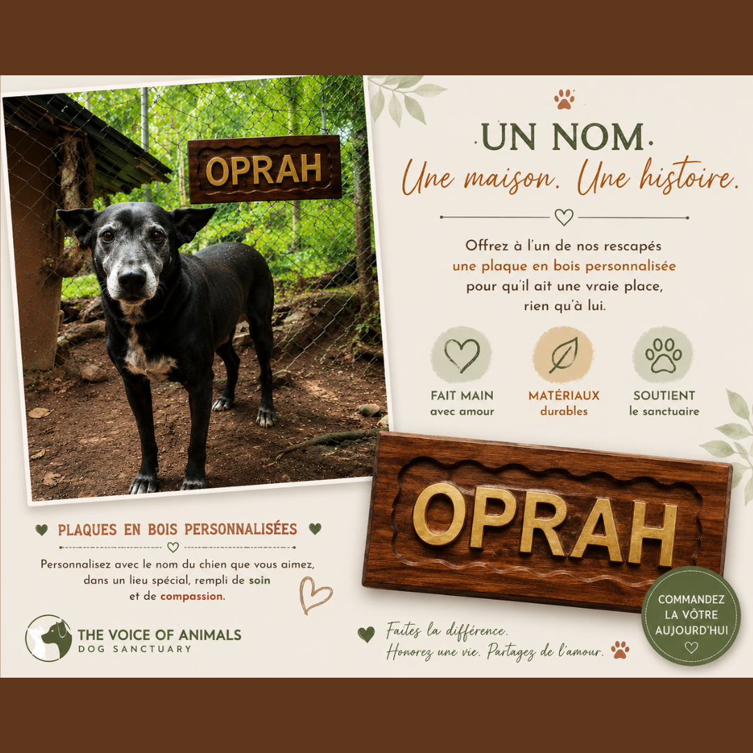 Votre plaque sera installée sur le chenil d'un chien du sanctuaire. Chaque achat contribue directement à son entretien et au fonctionnement du sanctuaire.